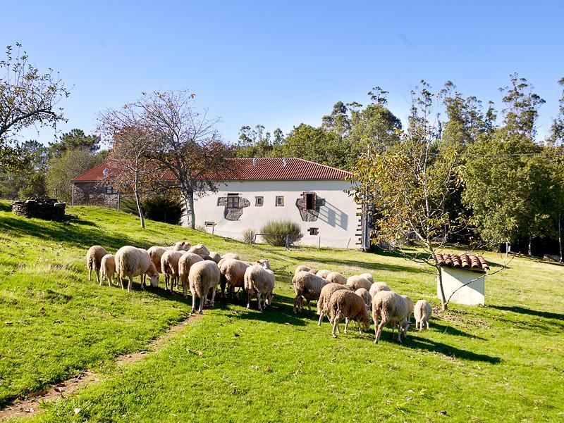 A Pena De Augasantas Guest House Oca de Abaixo Luaran gambar
