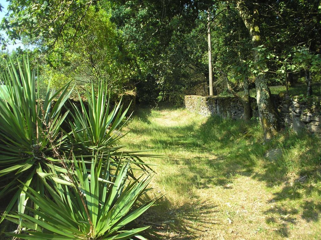 A Pena De Augasantas Guest House Oca de Abaixo Luaran gambar